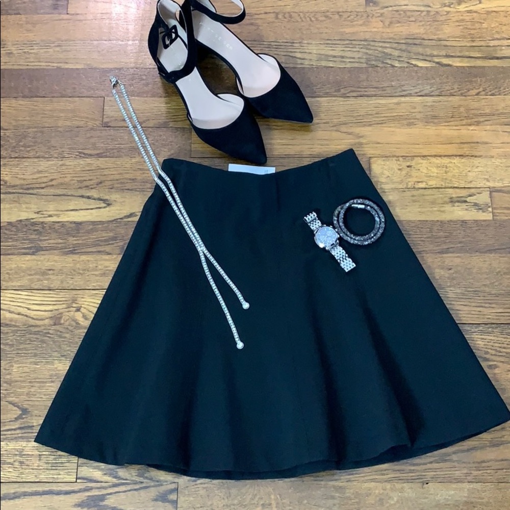 Ann Taylor Skater Skirt - Picture 1 of 3